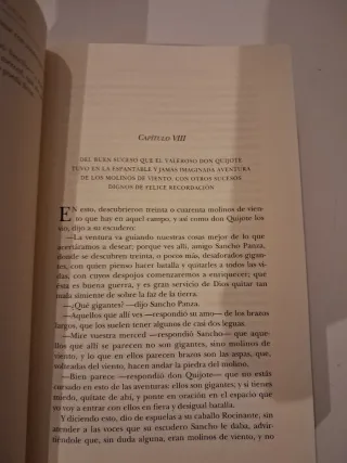 Don Quijote de la Mancha (Biblioteca Castro) (S...