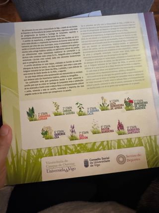 Libro Camino de Santiago + 80 fichas