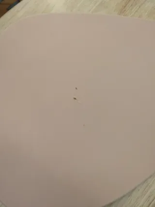 Manteles individuales piel sintética rosa