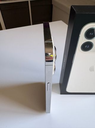 iPhone 13 Pro Blanco/Plata