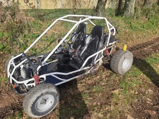 Buggy 250cc