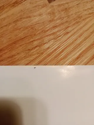 Rayman PlayStation Platinum PAL