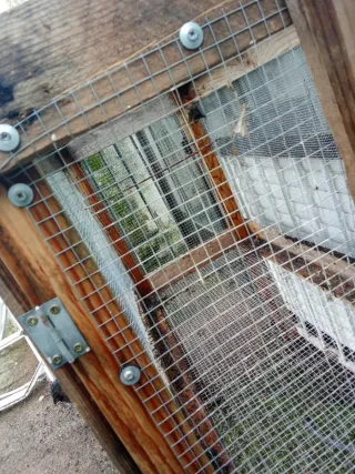 Jaula ,boladero para aves