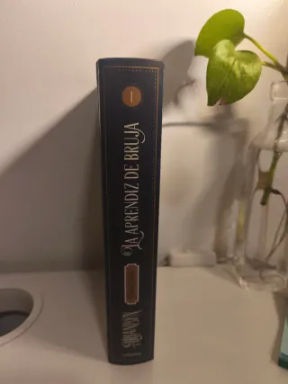 Arianwyn 1. La aprendiz de bruja