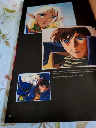 Record of lodoss war guide book en español