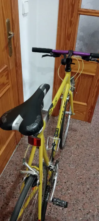 Bicicleta de carretera clásica