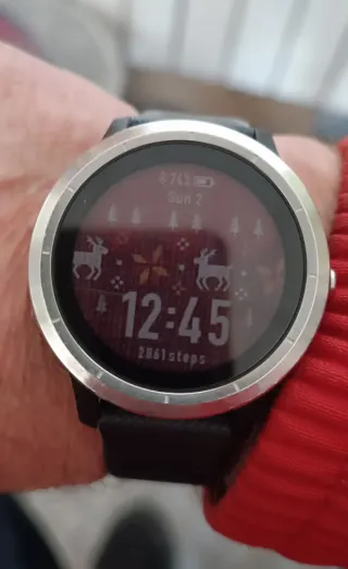 Relog Garmin Vivoactive 3
