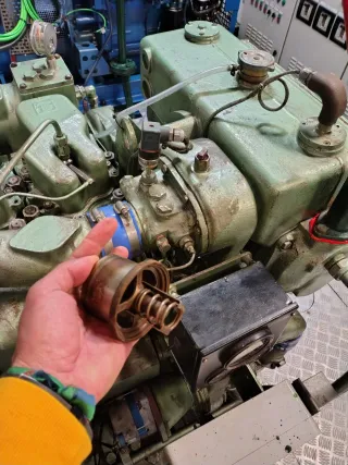 Termostato mecánico motor marino