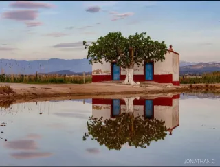 Serveis de jardineria