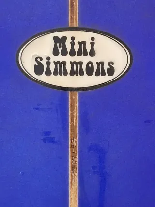 Tabla de Surf 5,4 Mini Simmons