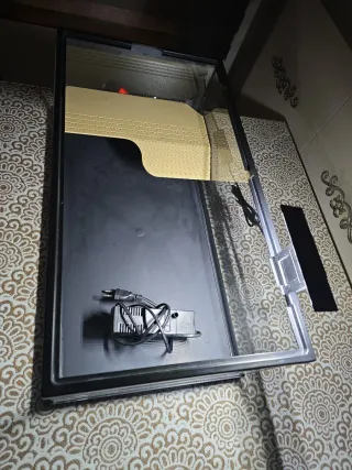 Terrarium terratlantis