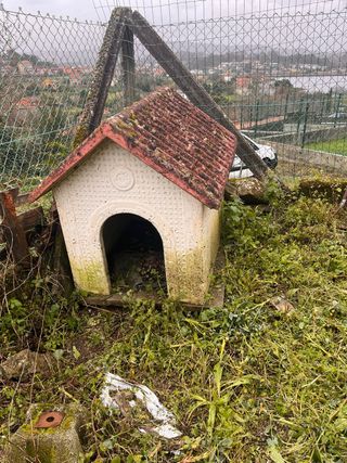 Caseta de perro