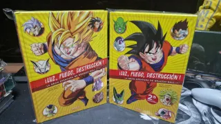 Luz,fuego y destrucción.