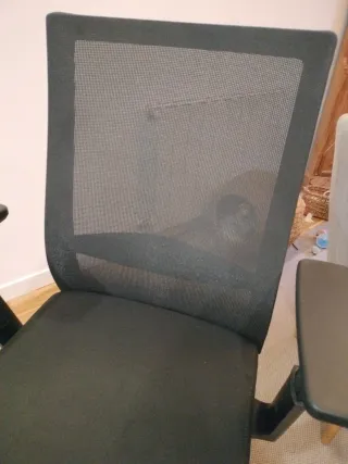 Sedia da ufficio ergonomica regolabile nera