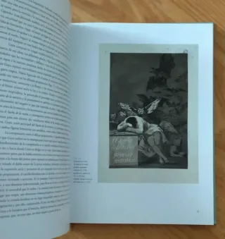 LA DUQUESA DE ALBA, MUSA DE GOYA - LIBRO ARTE