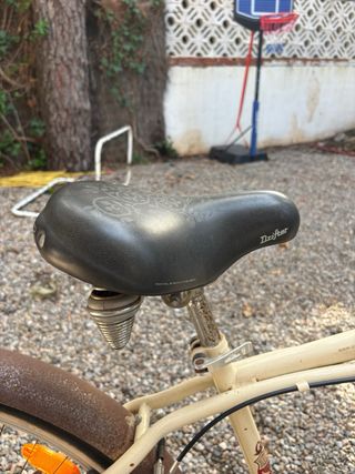 Bicicleta vintage mujer