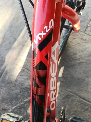 Orbea Mx20 infantil