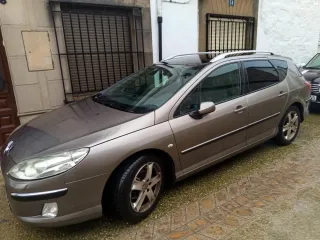Peugeot 407 2010