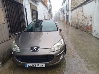 Peugeot 407 2010