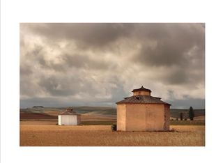 LOS PALOMARES DE CASTILLA Y LEÓN