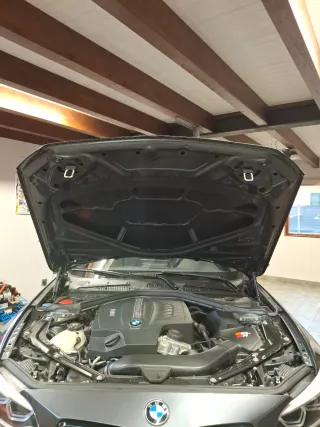 Capo original Bmw f87 M2 Mineral Grey