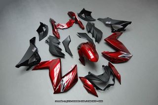 Oferta especial Carenado KAWASAKI Z300 / Z250 2015