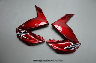 Oferta especial Carenado KAWASAKI Z300 / Z250 2015