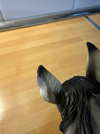 Cabeza de caballo decorativa