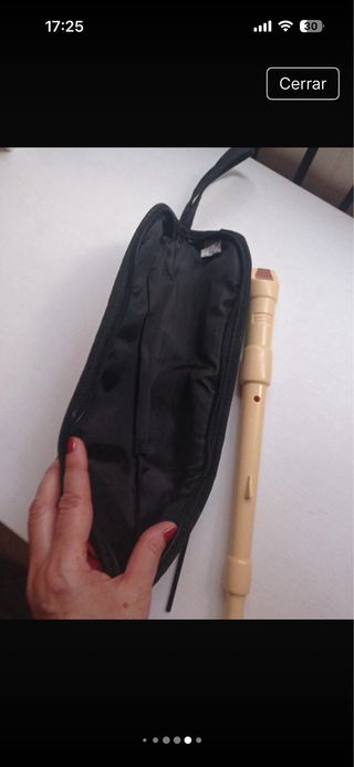 Flauta honer con funda totto y limpiador
