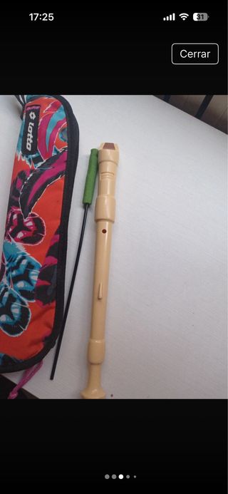 Flauta honer con funda totto y limpiador