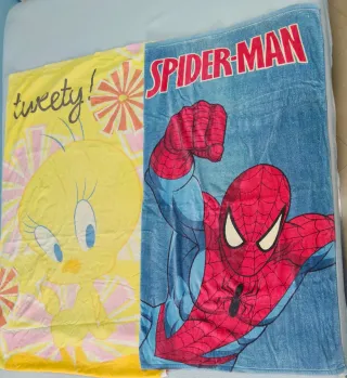 Lote de 2 toallas con dibujos de la Warner Bros