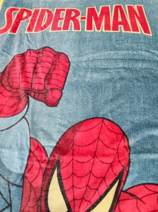 Lote de 2 toallas con dibujos de la Warner Bros