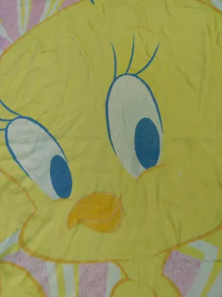 Lote de 2 toallas con dibujos de la Warner Bros