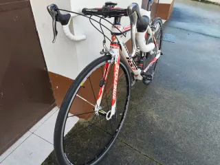 Bicicleta carrtera Mendiz Carbono Full Shimano.