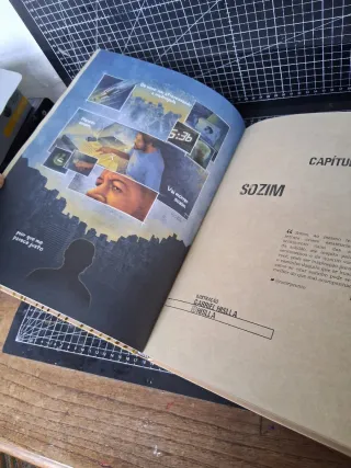 Pra quem já mordeu um cachorro por comida, até ...