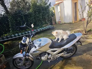 Se vende moto honda cbf250