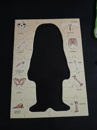 Puzzles el cuerpo humano