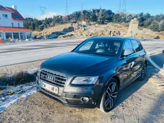 Audi SQ5 2015
