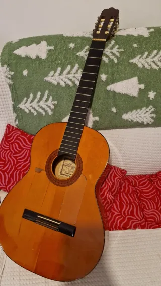 Guitarra Flamenca Clásica 2012