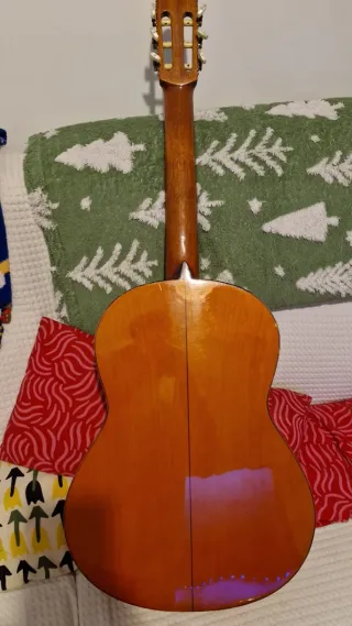 Guitarra Flamenca Clásica 2012