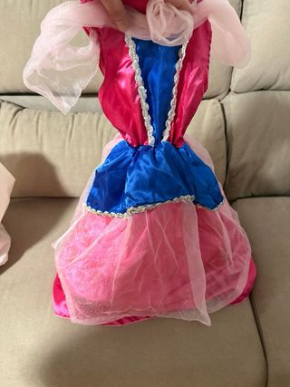 Disfraz Princesa Rosa y Azul