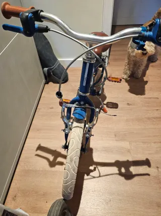 Bici niño 4 a 7 años