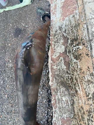 Tubo de escape Blaze 50/70 Original