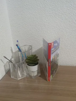 Minecraft para Nintendo switch