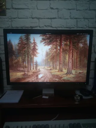 Monitor DELL 22 pulgadas