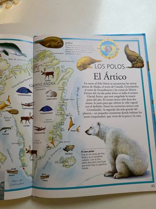 Libro Atlas de los Animales pasta dura