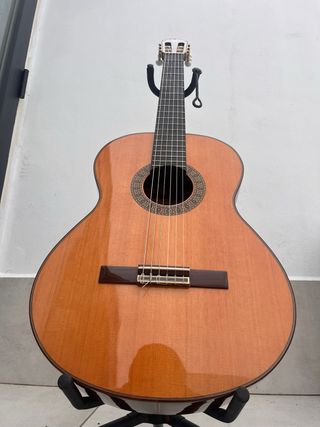 Guitarra Alhambra 6P