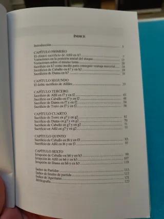 ATAQUES CONTRA EL ENROQUE (Spanish Edition)