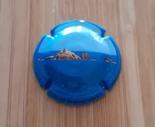 Lot 31 Xapes/plaques/chapas cava Molí d'en Coll