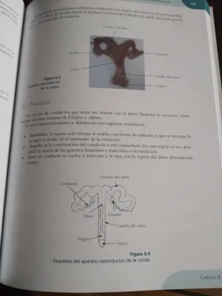 Fundamentos zootécnicos